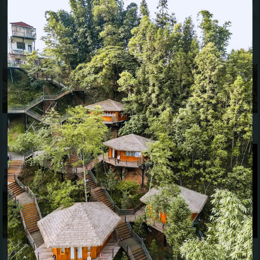 Rơm lợp mái nhân tạo: 5 điểm khiến SAPA SINAI HOMESTAY trở thành nơi nghỉ dưỡng lý tưởng ở Tây Bắc 5 công trình hòa mình vào cảnh quan mà vẫn bền chắc.