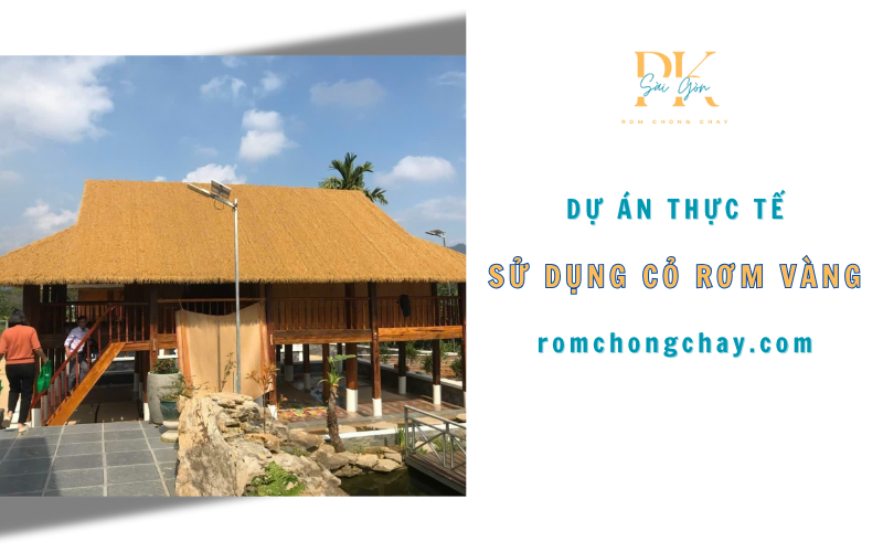 Dự án thực tế sử dụng cỏ rơm vàng