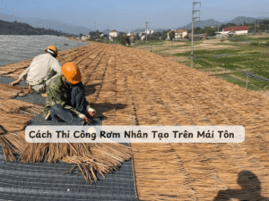 cach thi cong rom nhan tao tren mai ton min