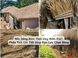 nen dung rom that hay rom gia min
