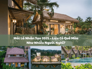 rom nhan tao 2025