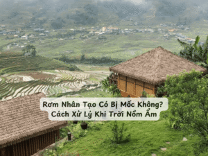 rom nhan tao co bi moc khong min