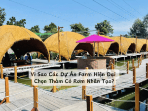 Vì Sao Các Dự Án Farm Hiện Đại Chọn Thảm Cỏ Rơm Nhân Tạo?