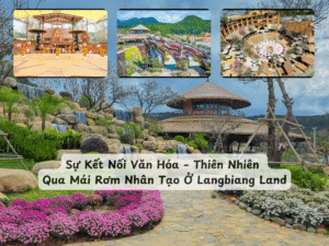 Sự Kết Nối Văn Hóa – Thiên Nhiên Qua Mái Rơm Nhân Tạo Ở Langbiang Land